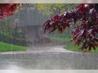 November Diperkirakan Mulai Turun Hujan 