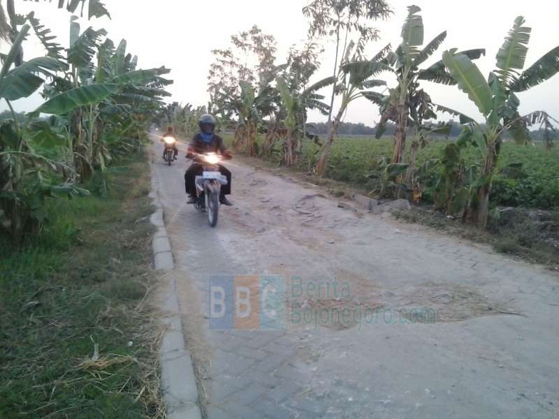 Jalan Paving Balenrejo Butuh Perbaikan