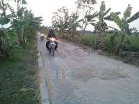 Jalan Paving Balenrejo Butuh Perbaikan