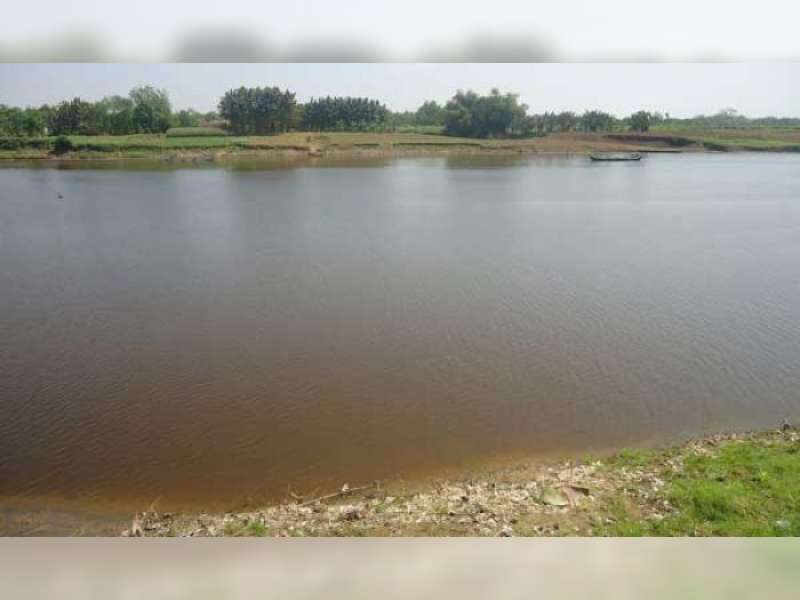 Air Bengawan Solo Diduga Tercemar