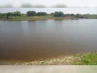 Air Bengawan Solo Diduga Tercemar