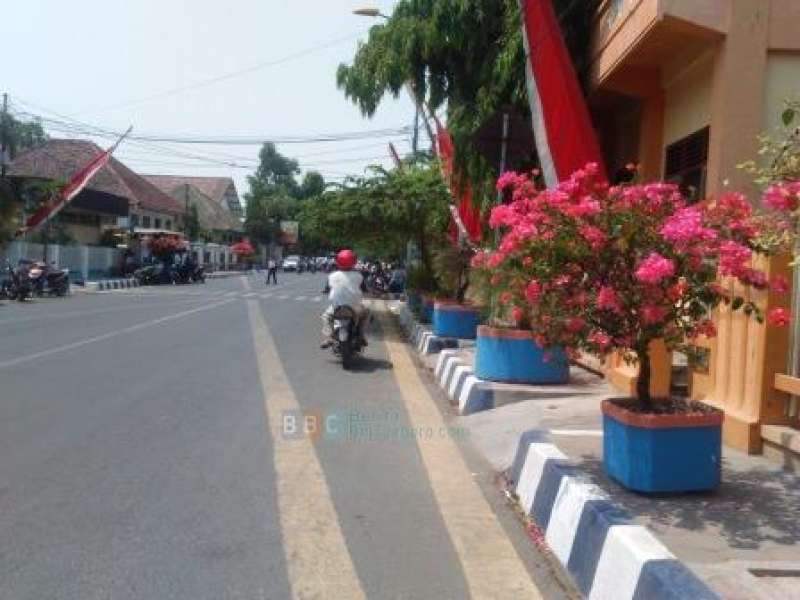 Bojonegoro Menuju Kota Bougenville