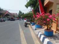 Bojonegoro Menuju Kota Bougenville