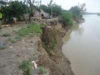 Bengawan Solo Bak Perawan yang Terluka 