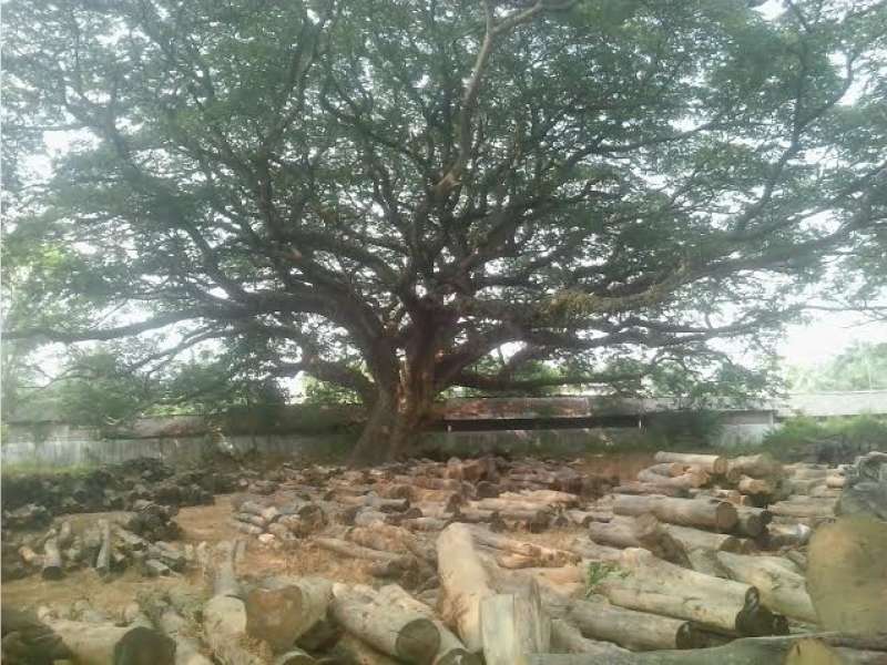 1 Sura, TPK Bojonegoro Didatangi Paranormal