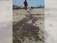 Pipa Minyak Mentah JOB PPEJ di Tuban Dikabarkan Bocor Lagi