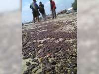 Tidak Ada Pipa Bocor, Tetapi Ada Rembesan dari Sambungan Pipa