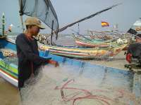 Ceceran Minyak Menggenang di Laut Tuban, Nelayan Kesulitan Tangkap Ikan 