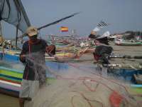 Ceceran Minyak Mentah Bisa Merusak Biota Laut di Tuban 