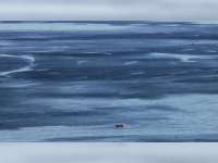 Ceceran Minyak dari Rembesan Pipa Lama yang Dibersihkan