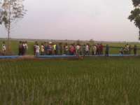 Terpeleset, Petani Ngujo Tewas di Sawah 