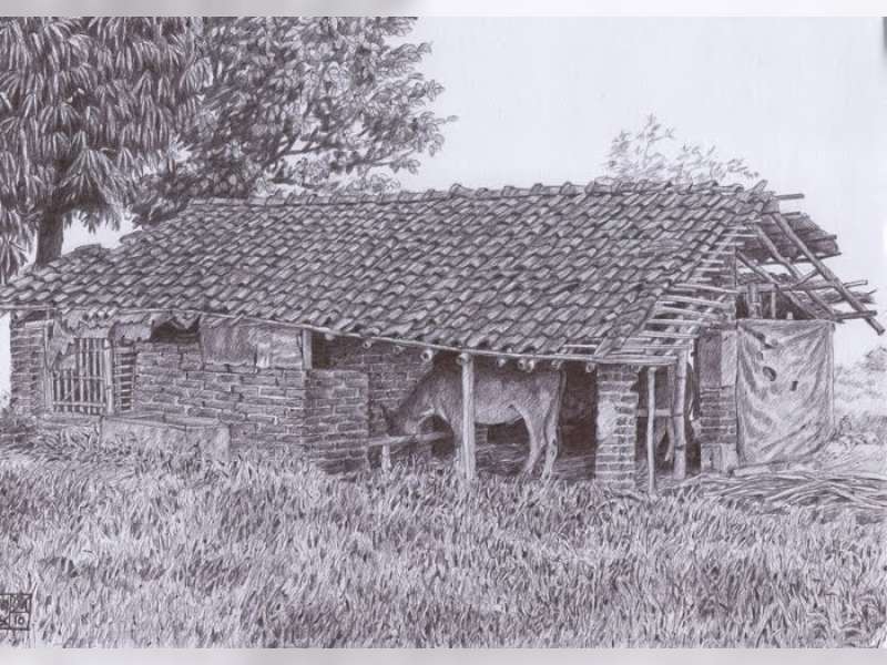 Kandang Jauh dari Rumah, 2 Ekor Sapi Digondol Maling