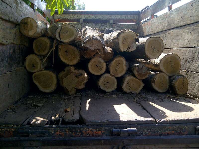 Polres Terima Penebang Hutan Ilegal dari Perhutani