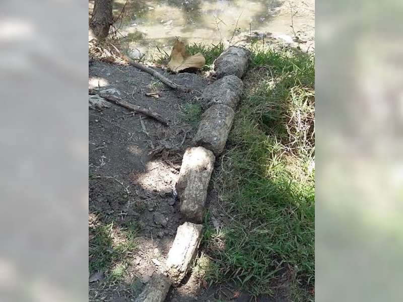 Warga Hibahkan Fosil Gading Gajah Purba ke Museum 13 