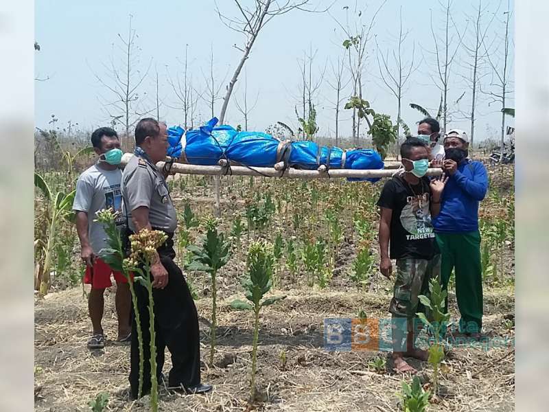 Mayat Perempuan Ditemukan di Hutan Celangap, Ngasem