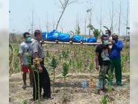 Mayat Perempuan Ditemukan di Hutan Celangap, Ngasem