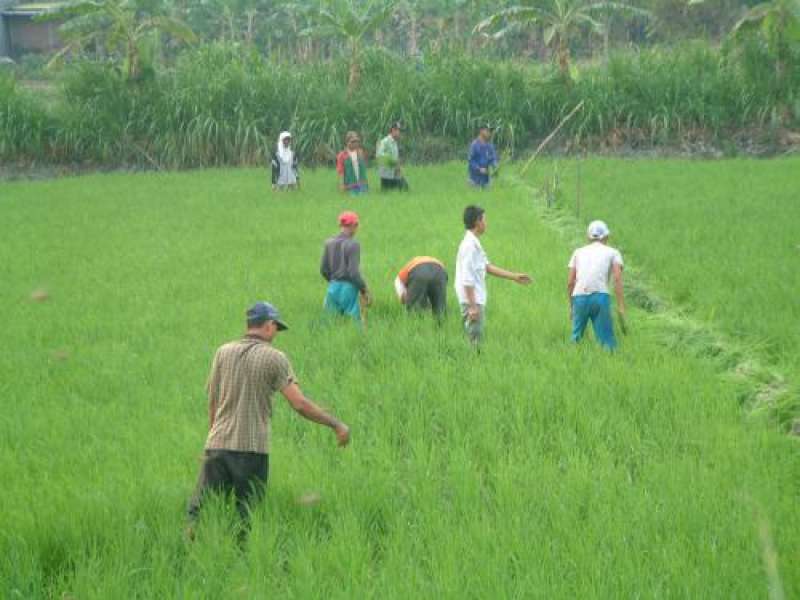 PAYM Bangun Kemandirian Pendidikan Anak Asuh Bersama Unair