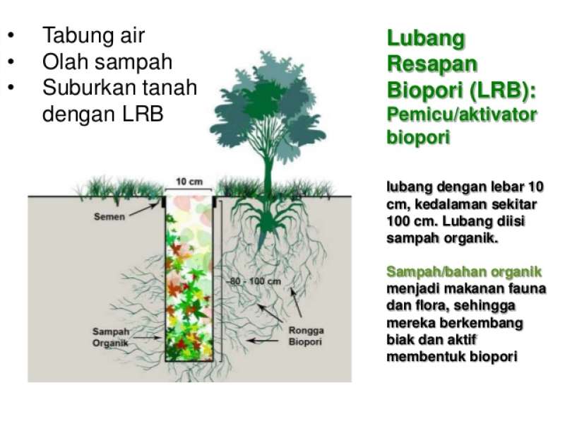  LUBANG  BIOPORI  PDF