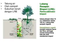 Buatlah Lubang Biopori untuk Menabung Air