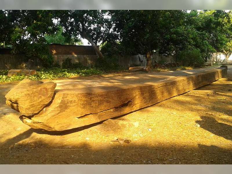 Pemkab Bojonegoro Bangun Monumen dari Kayu Jati Gelondong