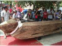 Mbah Balok Akhirnya Tiba di Alun-Alun