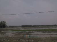 Awal Musim Hujan, Petani di Kanor Mulai Tebar Benih