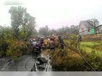 Puting Beliung Sasak Dander, 7 Pohon Tumbang