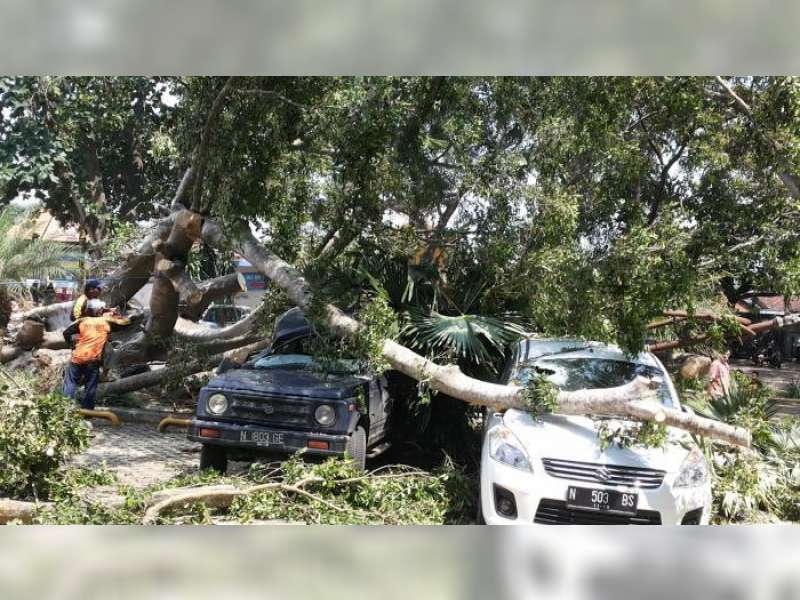 Awal Musim Hujan, Waspada Puting Beliung