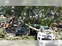 Awal Musim Hujan, Waspada Puting Beliung