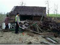 Puting Beliung Robohkan Beberapa Rumah dan Pohon