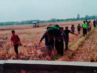 Pamit Ngarit, Warga Klampok (Kapas) Meninggal Mendadak di Sawah