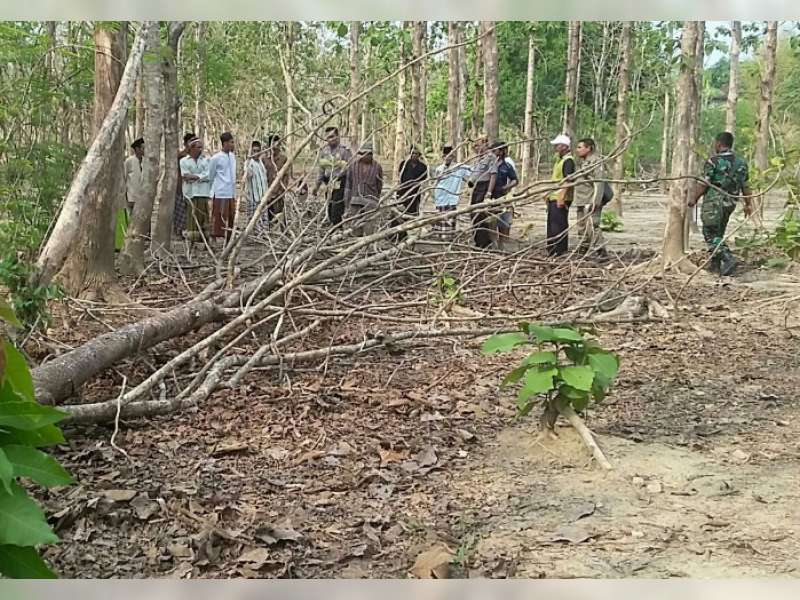 Tebang Pohon, Seorang Warga Dukohkidul (Ngasem) Tewas Tertimpa
