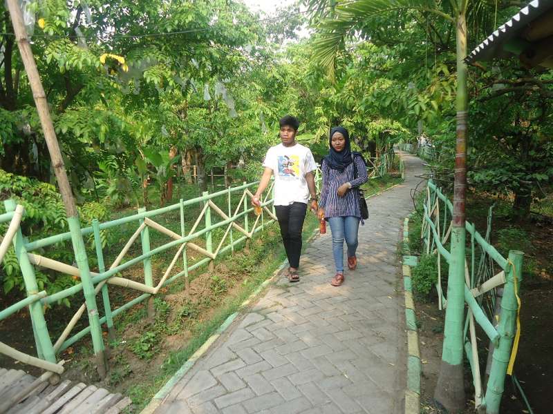 Pengunjung Kebun Buah Belimbing Ngringinrejo Sepi 