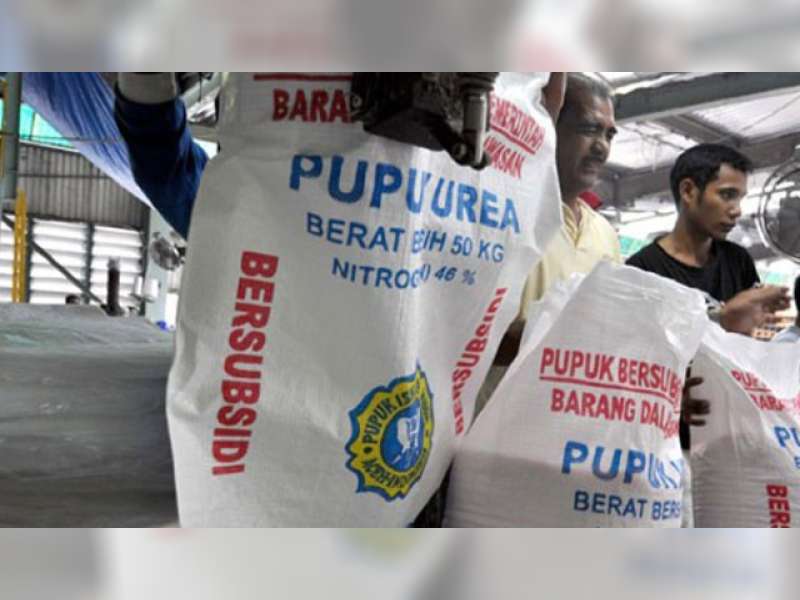 Awal Musim Hujan, Disperta Ajukan Stok Pupuk 