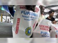 Awal Musim Hujan, Disperta Ajukan Stok Pupuk 