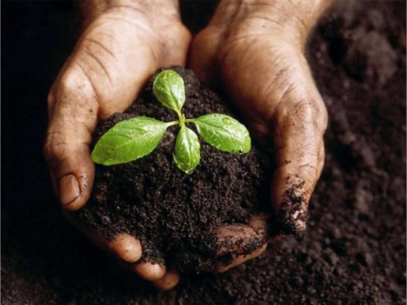 Pemuda Gayam Minta Penghijauan di Blok Cepu Libatkan Kartar 