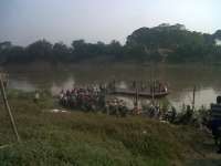 Debit Air Naik, Jembatan Bambu Bengawan Solo Dibongkar 