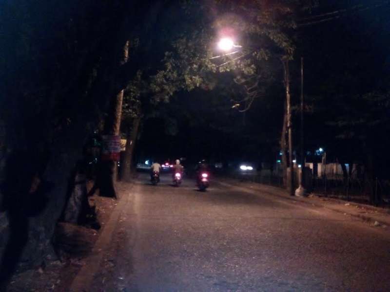 DPU Keluhkan Banyak Lampu Jalan Umum Terhalang Pohon