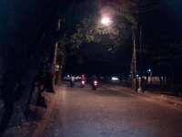 DPU Keluhkan Banyak Lampu Jalan Umum Terhalang Pohon