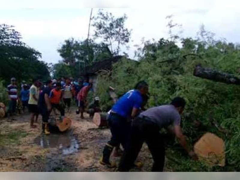 Tower Radio dan Pohon Asam Roboh Dihajar Angin Kencang