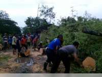 Tower Radio dan Pohon Asam Roboh Dihajar Angin Kencang