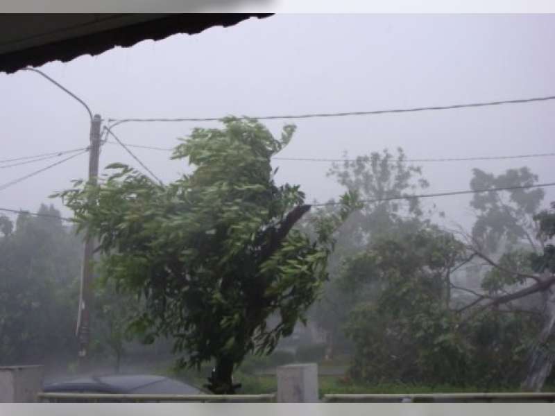 4 Hal yang Mesti Diperhatikan Warga saat Menghadapi Angin Kencang