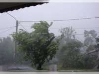 4 Hal yang Mesti Diperhatikan Warga saat Menghadapi Angin Kencang