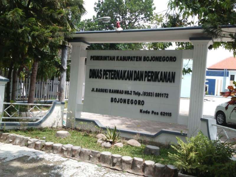 Dinas Peternakan Gencarkan Tanam Rumput Gajah dan Pakan Silase