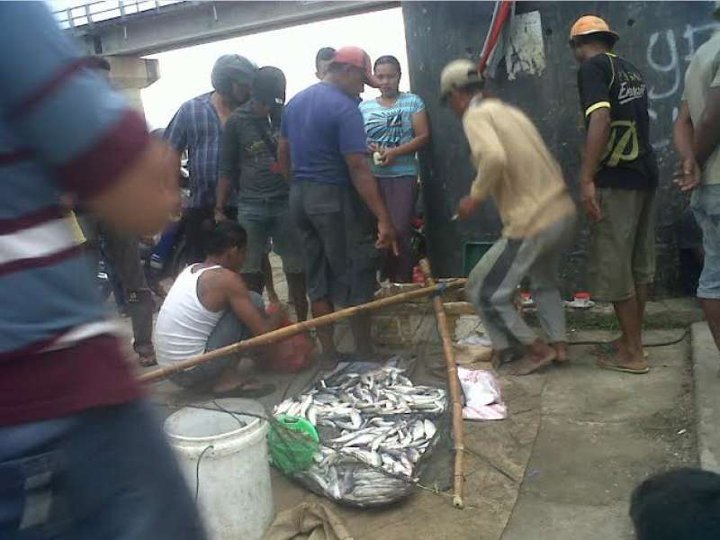 Debit Air Bengawan Solo Naik,  Tangkapan Ikan di Bendungan Gerak Juga Naik