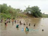 Ikan Munggut Hari Ini, Warga Antusias Padati Tepi Bengawan