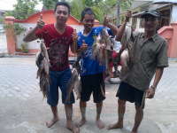 Bahagianya dapat Ikan Gratis