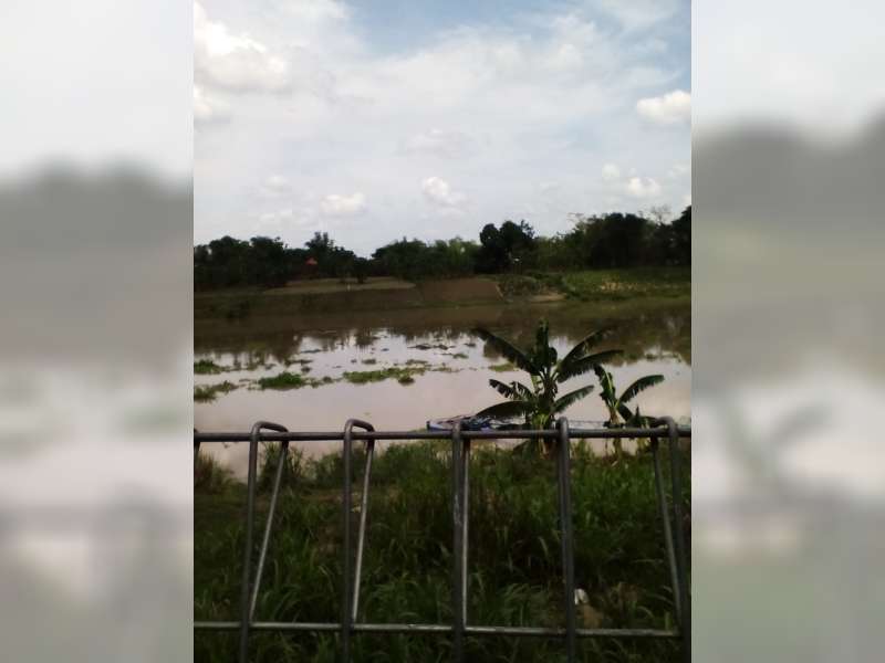 Ikan Mabuk, BLH Teliti Kualitas Air Bengawan Solo