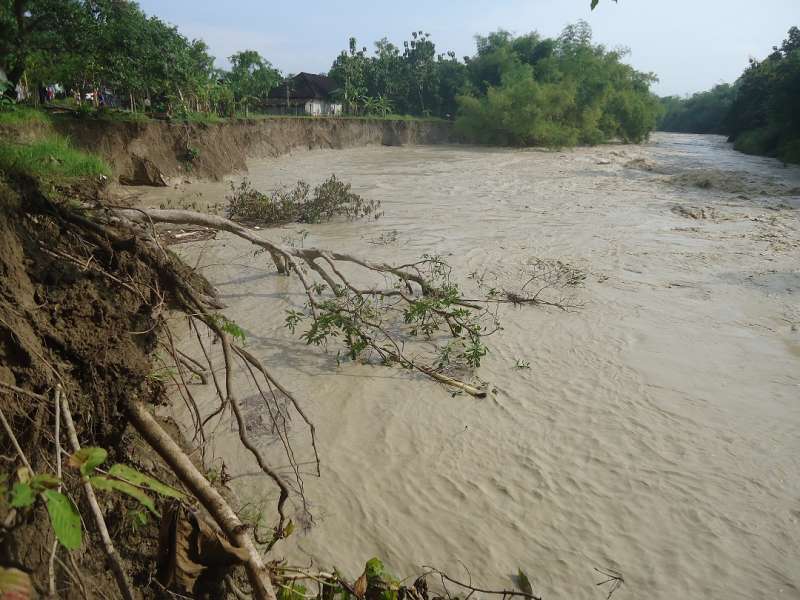 Anak Sungai Bengawan Solo Sering Sebabkan Banjir 