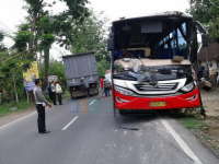 Hindari Truk, Bus Moedah Tabrak Pohon